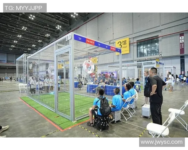 三十一届足球比赛直播精彩瞬间回顾与赛程安排全攻略